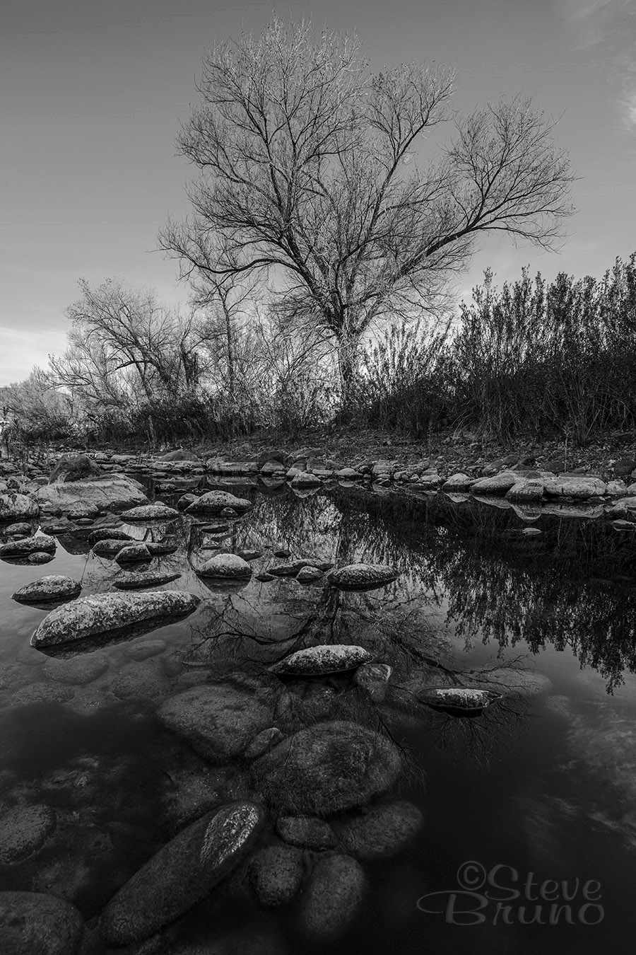 black & white, reflection, Arizona, Steve Bruno