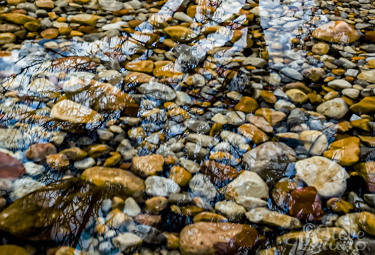 reflection. water, trees, desert, nevada, Steve Bruno
